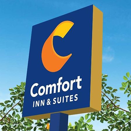 Comfort Inn & Suites Newark Liberty International Airport מראה חיצוני תמונה