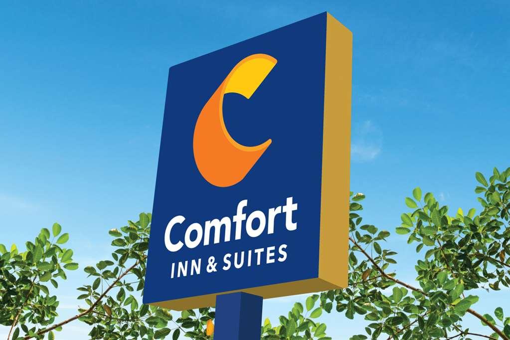 Comfort Inn & Suites Newark Liberty International Airport מראה חיצוני תמונה